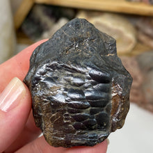 将图像加载到图库查看器中，Botryoidal Hematite #31
