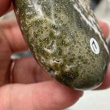 Cargar imagen en el visor de la galería, Ocean Jasper Palm Stone #17
