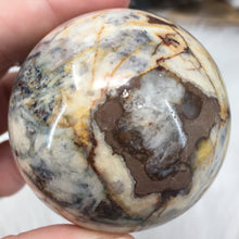 将图像加载到图库查看器中，Pietersite Sphere 55mm
