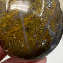 将图像加载到图库查看器中，Sagenitic Agate Palm Stone #23
