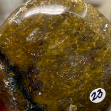 将图像加载到图库查看器中，Sagenitic Agate Palm Stone #23

