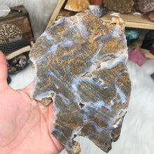 Load image into Gallery viewer, Golden Plume Agate Un-Polished Rough #02
