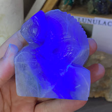 Load image into Gallery viewer, Fluorite 2.70&quot; Chameleon * UV Reactive

