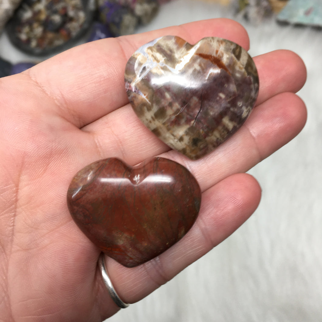 Petrified Wood Heart Set #16, 17