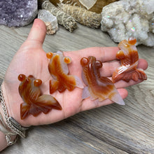Load image into Gallery viewer, Carnelian Agate Fish
