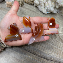 将图像加载到图库查看器中，Carnelian Agate Fish
