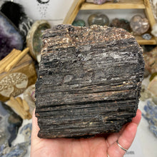 将图像加载到图库查看器中，Black Tourmaline with Muscovite Rough #01
