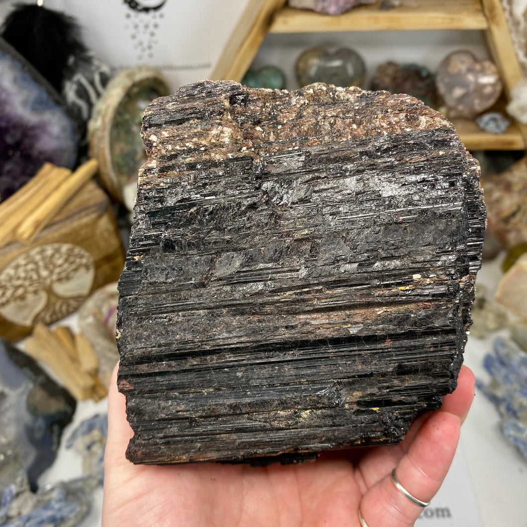 Black Tourmaline with Muscovite Rough #01