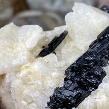 Load image into Gallery viewer, Black Tourmaline with Feldspar and Muscovite Rough #04
