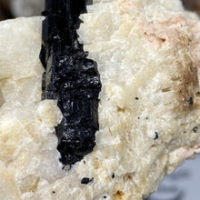 Load image into Gallery viewer, Black Tourmaline with Feldspar and Muscovite Rough #04
