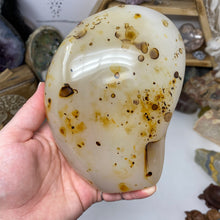 将图像加载到图库查看器中，Dendritic Agate Freeform #02
