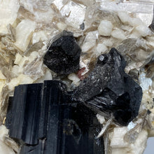 Load image into Gallery viewer, Black Tourmaline with Feldspar, Muscovite and Garnet Rough #05
