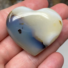 将图像加载到图库查看器中，Dendritic Agate Heart #14
