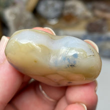 将图像加载到图库查看器中，Dendritic Agate Heart #07
