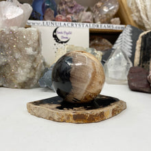 Load image into Gallery viewer, Petrified Wood Stand #19
