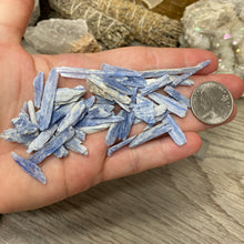 Load image into Gallery viewer, Blue Kyanite Rough Slivers

