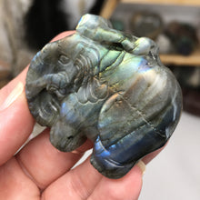 将图像加载到图库查看器中，Labradorite Elephant Large #03
