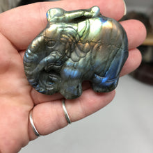Bild in Galerie-Viewer laden, Labradorite Elephant Large #03
