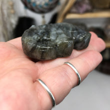 将图像加载到图库查看器中，Labradorite Elephant Large #03
