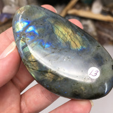 将图像加载到图库查看器中，Labradorite Palm Stone #13
