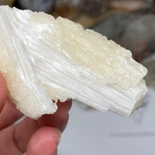 将图像加载到图库查看器中，Scolecite with Calcite Specimen #12
