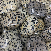 将图像加载到图库查看器中，Dalmatian Jasper Pillow Palm Stones
