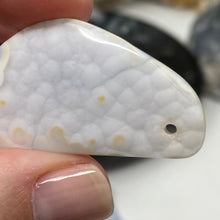 将图像加载到图库查看器中，Blue Lace Agate Freeform A Grade Bead #02
