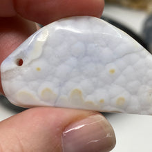 将图像加载到图库查看器中，Blue Lace Agate Freeform A Grade Bead #02
