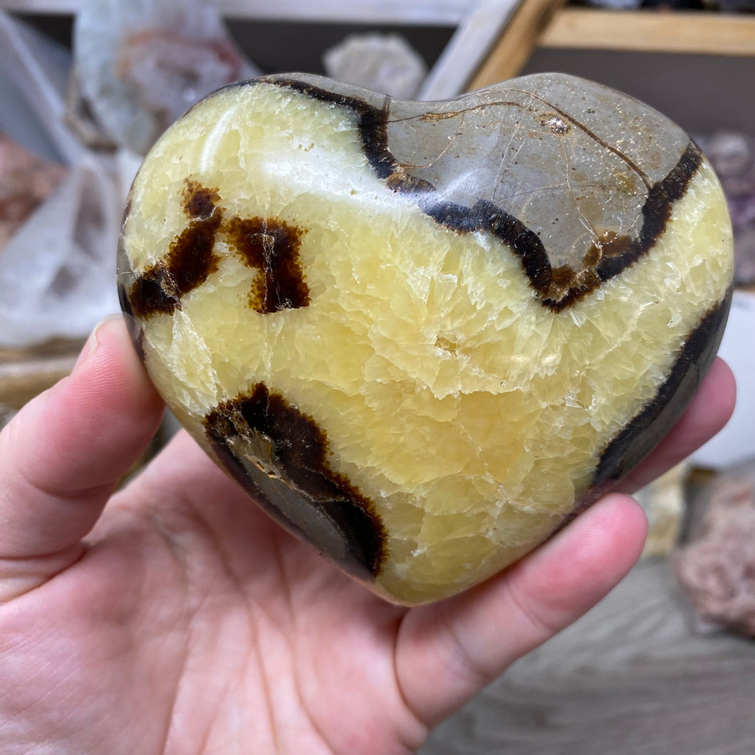 Septarian Large Heart Palm Stone