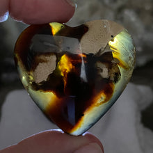 Chargez l&#39;image dans la visionneuse de la galerie, Amber Puffy Heart Palm Stone #12
