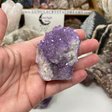 将图像加载到图库查看器中，Thunder Bay Amethyst Cluster #02
