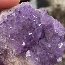 将图像加载到图库查看器中，Thunder Bay Amethyst Cluster #02
