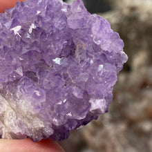 Bild in Galerie-Viewer laden, Thunder Bay Amethyst Cluster #02
