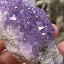 将图像加载到图库查看器中，Thunder Bay Amethyst Cluster #02
