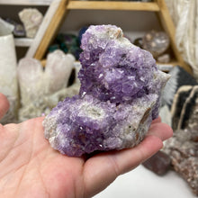 将图像加载到图库查看器中，Thunder Bay Amethyst Cluster #03
