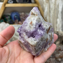 将图像加载到图库查看器中，Thunder Bay Amethyst Cluster #03
