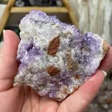 Bild in Galerie-Viewer laden, Thunder Bay Amethyst Cluster #03
