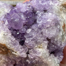 将图像加载到图库查看器中，Thunder Bay Amethyst Cluster #03
