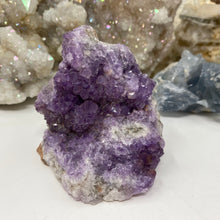 Bild in Galerie-Viewer laden, Thunder Bay Amethyst Cluster #03
