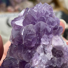 Carica l&#39;immagine nel visualizzatore di Gallery, Thunder Bay Amethyst Cluster #04
