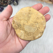 Load image into Gallery viewer, Sand Dollar Fossil #06
