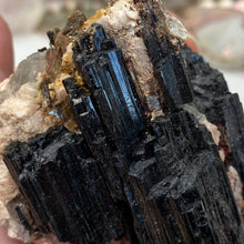 Carica l&#39;immagine nel visualizzatore di Gallery, Black Tourmaline with Muscovite Rough #07
