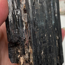 将图像加载到图库查看器中，Black Tourmaline with Muscovite Rough #07
