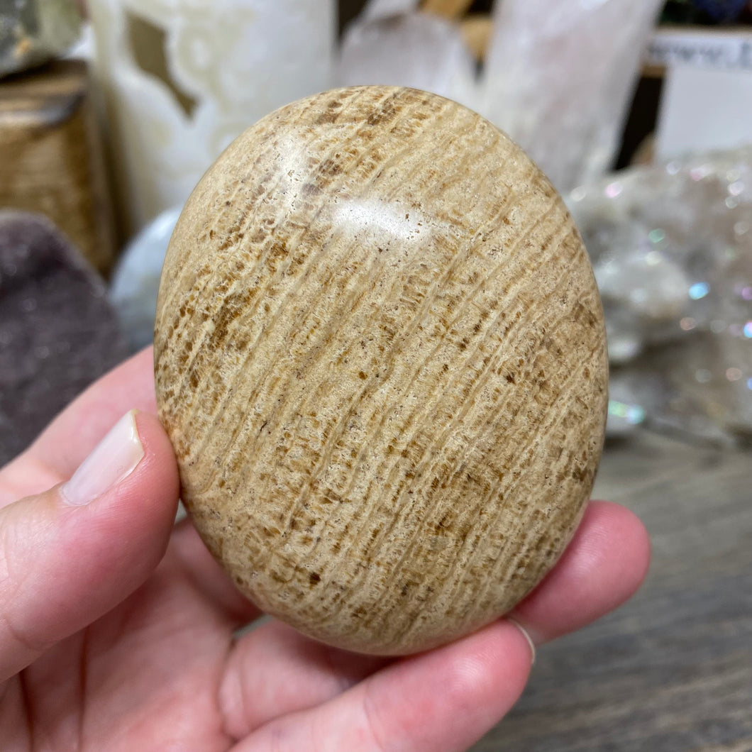 Brown Aragonite Pillow Palm Stone #14