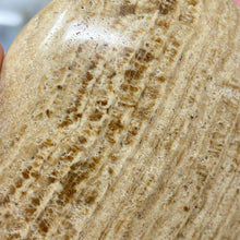 Load image into Gallery viewer, Brown Aragonite Pillow Palm Stone #14
