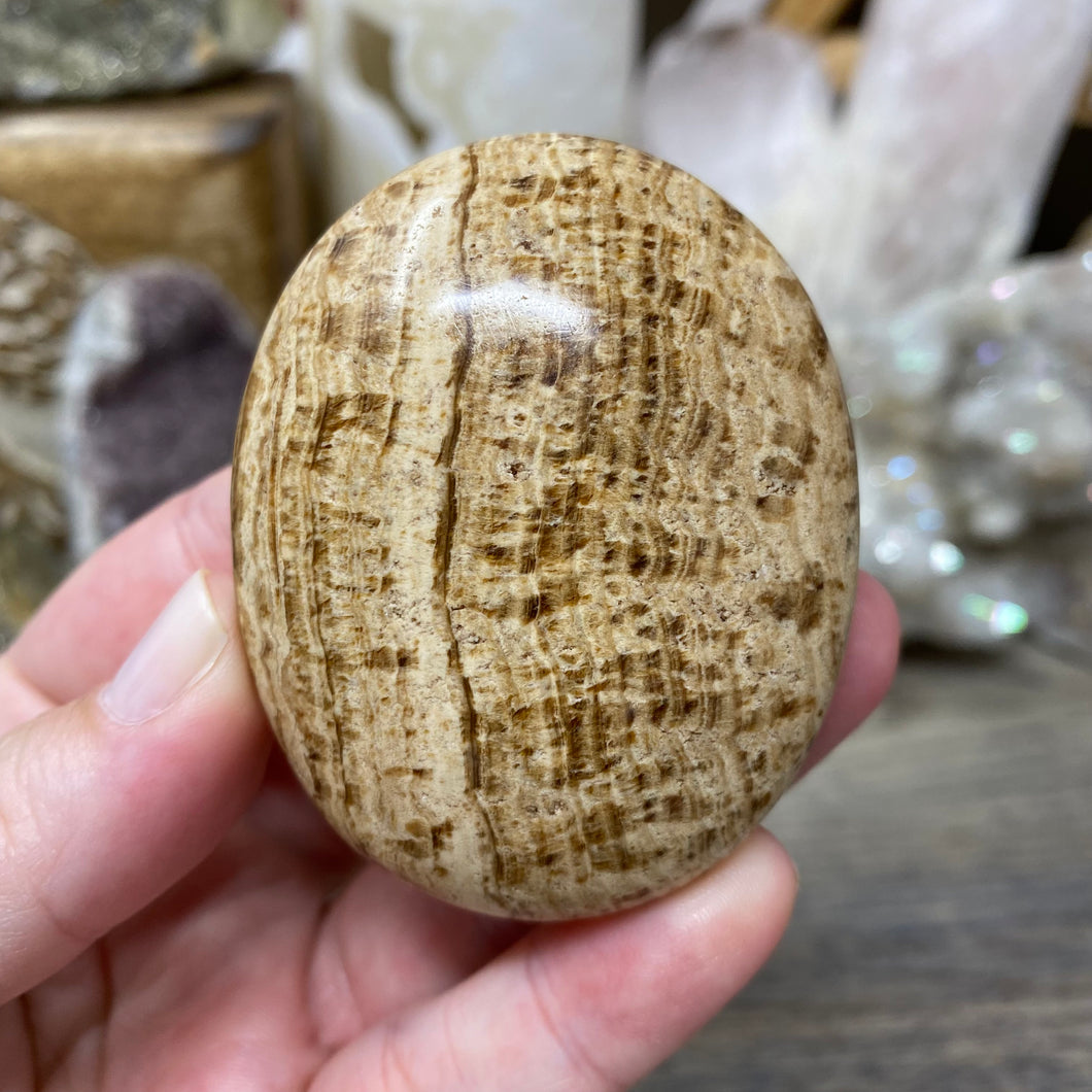 Brown Aragonite Pillow Palm Stone #02