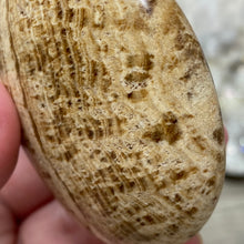 Cargar imagen en el visor de la galería, Brown Aragonite Pillow Palm Stone #02
