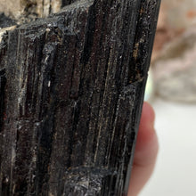 将图像加载到图库查看器中，Black Tourmaline with Muscovite Rough #11
