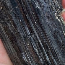 Cargar imagen en el visor de la galería, Black Tourmaline with Muscovite Rough #11
