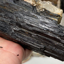 将图像加载到图库查看器中，Black Tourmaline with Muscovite Rough #14
